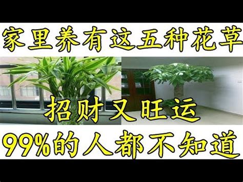 家裡適合放什麼花